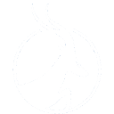 Antelope Enterprise Holdings Limited (AEHL) logo