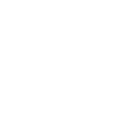 American Eagle Outfitters (AEO) logo