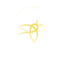 Firefly Neuroscience, Inc. (AIFF) logo