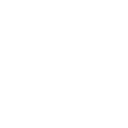 American International Group, Inc. (AIG) logo