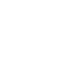 Arista Networks (ANET) logo