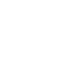 Abercrombie & Fitch Co. (ANF) logo