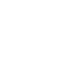 Angion Biomedica Corp. (ANGN) logo