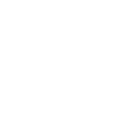 American Realty Investors, Inc. (ARL) logo