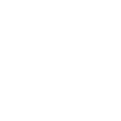 Atlas Lithium Corporation (ATLX) logo