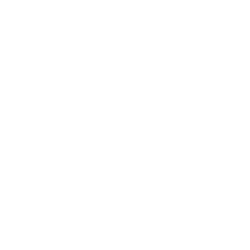 Axon Enterprise, Inc. (AXON) logo