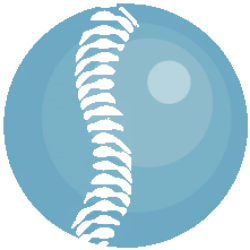 Bone Biologics Corp (BBLG) logo