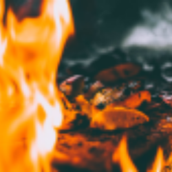 BBQ Holdings, Inc. (BBQ) logo