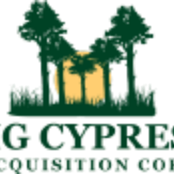Big Cypress Acquisition Corp. (BCYPU) logo