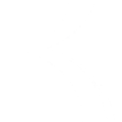 Bright Scholar Education Holdings Limited American Depositary Shares, each representing four (4) (BEDU) logo