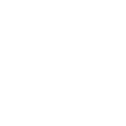 Berkshire Grey, Inc. (BGRY) logo