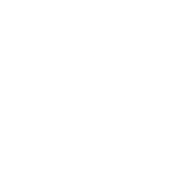 Allbirds, Inc. (BIRD) logo