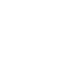 Birkenstock Holding plc (BIRK) logo
