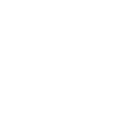 Bridgeline Digital Inc. (BLIN) logo
