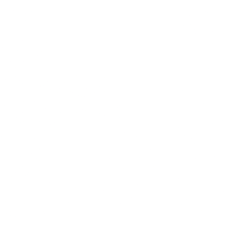 Blink Charging Co. (BLNK) logo