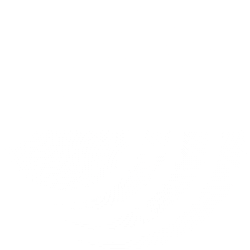 Brenmiller Energy Ltd (BNRG) logo