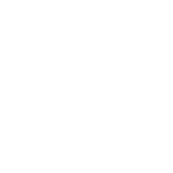Borqs Technologies, Inc. (BRQS) logo