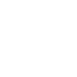 BioRestorative Therapies, Inc. Common Stock (NV) (BRTX) logo