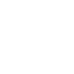 Bolt Projects Holdings, Inc. (BSLK) logo