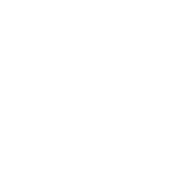 Valkyrie ETF Trust II CoinShares Bitcoin and Ether ETF (BTF) logo