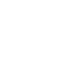 Bioventus Inc. (BVS) logo