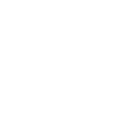 BorgWarner Inc. (BWA) logo