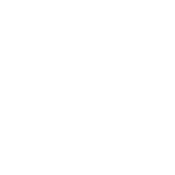 Broadwind, Inc. (BWEN) logo