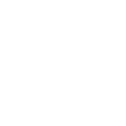 BlueLinx Holdings Inc. (BXC) logo