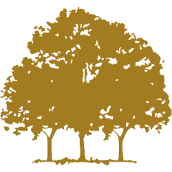 Canopy Growth Corporation (CGC) logo