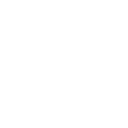 Catcha Investment Corp (CHAA) logo