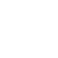 Chimera Investment Corp. (CIM) logo