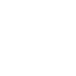 Chijet Motor Company, Inc. (CJET) logo