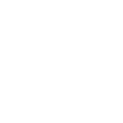 CNS Pharmaceuticals, Inc. (CNSP) logo