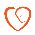 Global Cord Blood Corporation (CO) logo