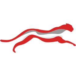 Cheetah Net Supply Chain Service Inc. (CTNT) logo