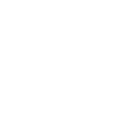 Torrid Holdings Inc. (CURV) logo