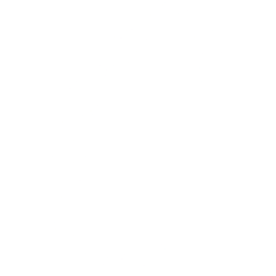 Cybin Inc. (CYBN) logo