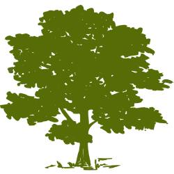 Community Health Systems, Inc. (CYH) logo