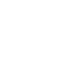 DIH Holdings US, Inc. (DHAI) logo