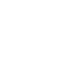 BTD Capital Fund (DIP) logo