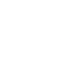 Trump Media & Technology Group Corp. (DJT) logo