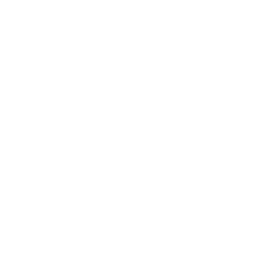 Ebix Inc (EBIX) logo