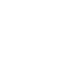 Next.e.GO N.V. (EGOX) logo