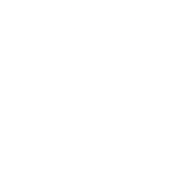 EHang Holdings Limited (EH) logo