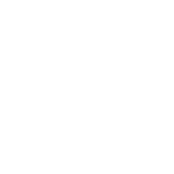 Fastenal Co (FAST) logo