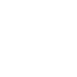 Fortune Brands Innovations, Inc. (FBIN) logo