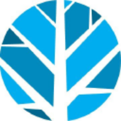 Angel Oak Financial Strategies Income Term Trust (FINS) logo