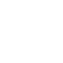Fold Holdings, Inc. (FLD) logo
