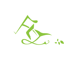 Fly-E Group, Inc. (FLYE) logo