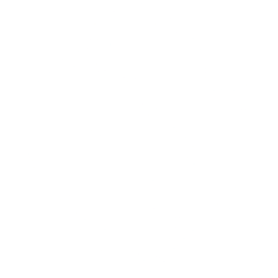 FormFactor Inc. (FORM) logo